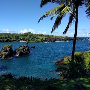 Meet your Posher, Sam